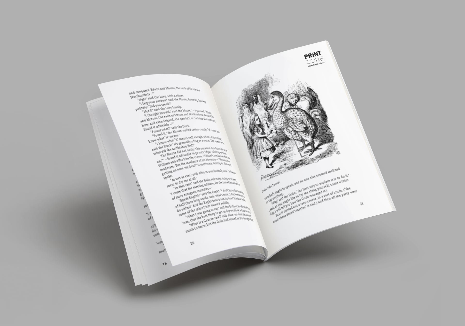 Книги в мягкой обложке